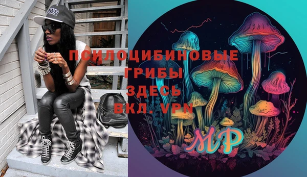 не бодяженный Алексин