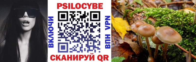 Галлюциногенные грибы Psilocybe  купить  сайты  Брянск 
